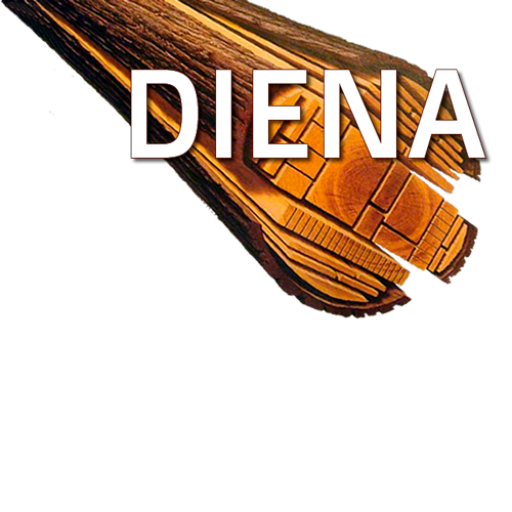 Diena